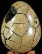 Septarian Dragon Egg Geode - Removable Section #60359-4